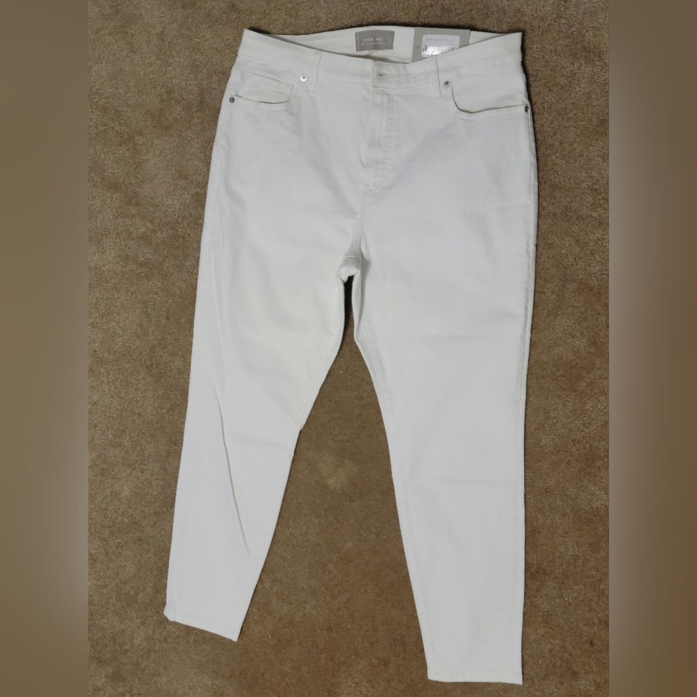 Everlane curvy high rise skinny jean